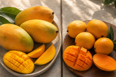Mallika Mango vs Alphonso Mango