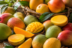 What are Dominican Mangoes
