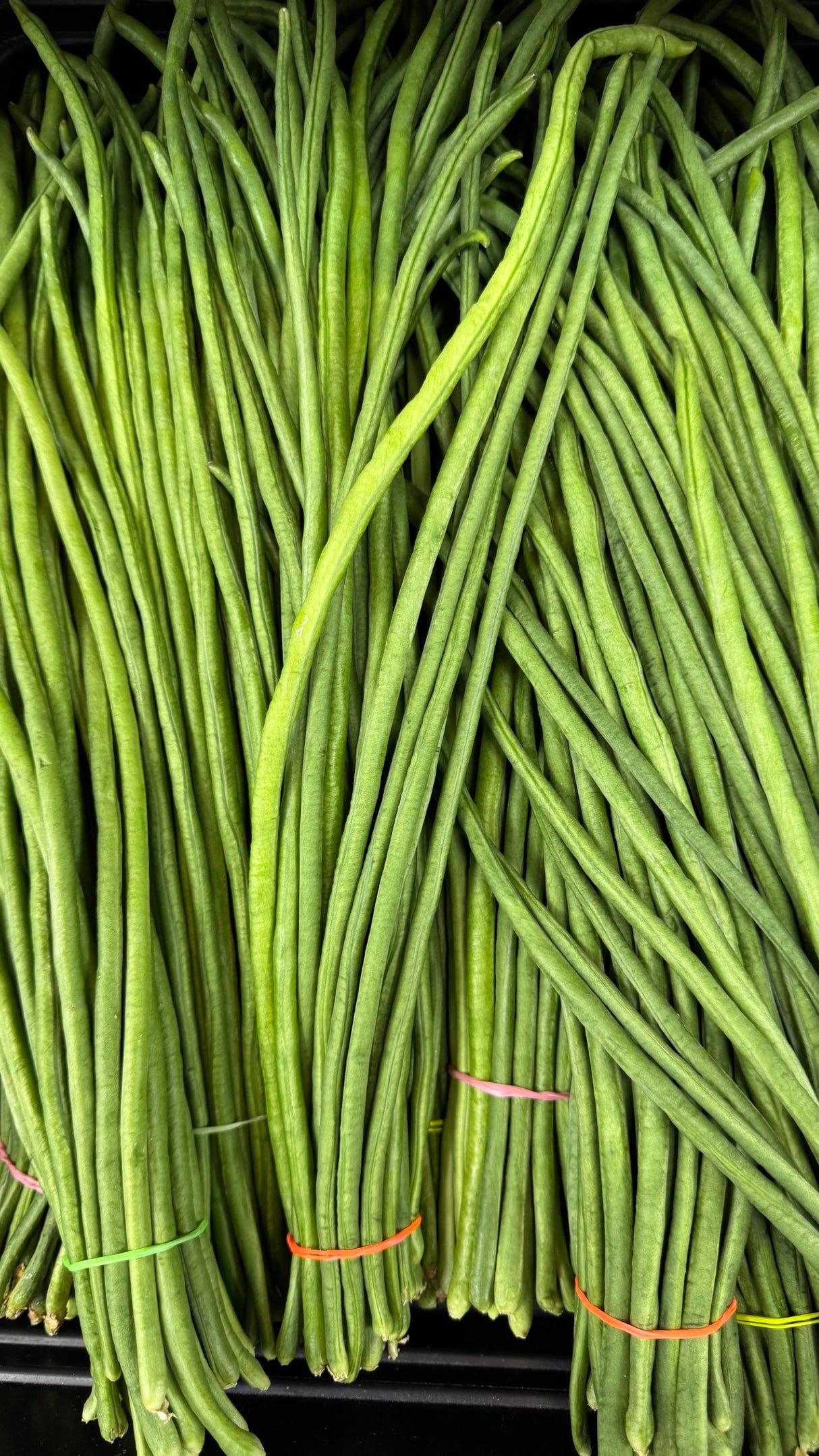 Dark Green Long Beans (Dark Chawli)