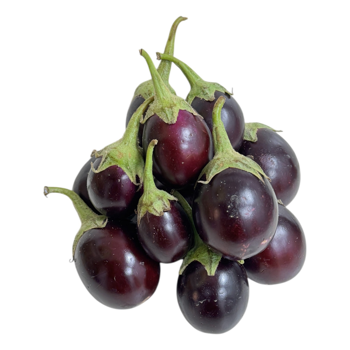 Pink Ravaiya| Baingan| Ringan| Vanga| Kathirikai| Vankaya| Vazhuthananga