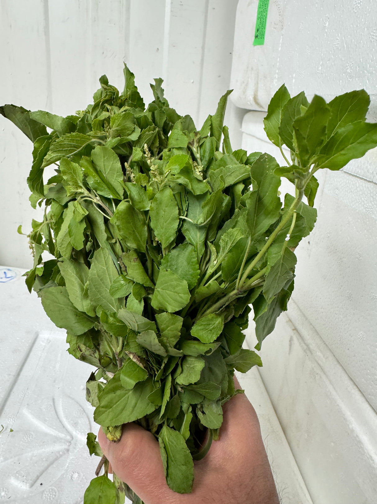 Tulsi leaves Bunch