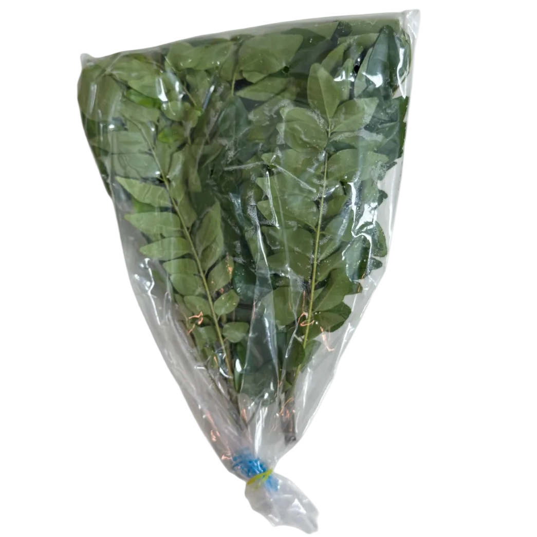 Curry Leaves | Mitho Limbo | Karivepaku | Kadhilimbachi Pana | Karuvepillai | Kariveppela |