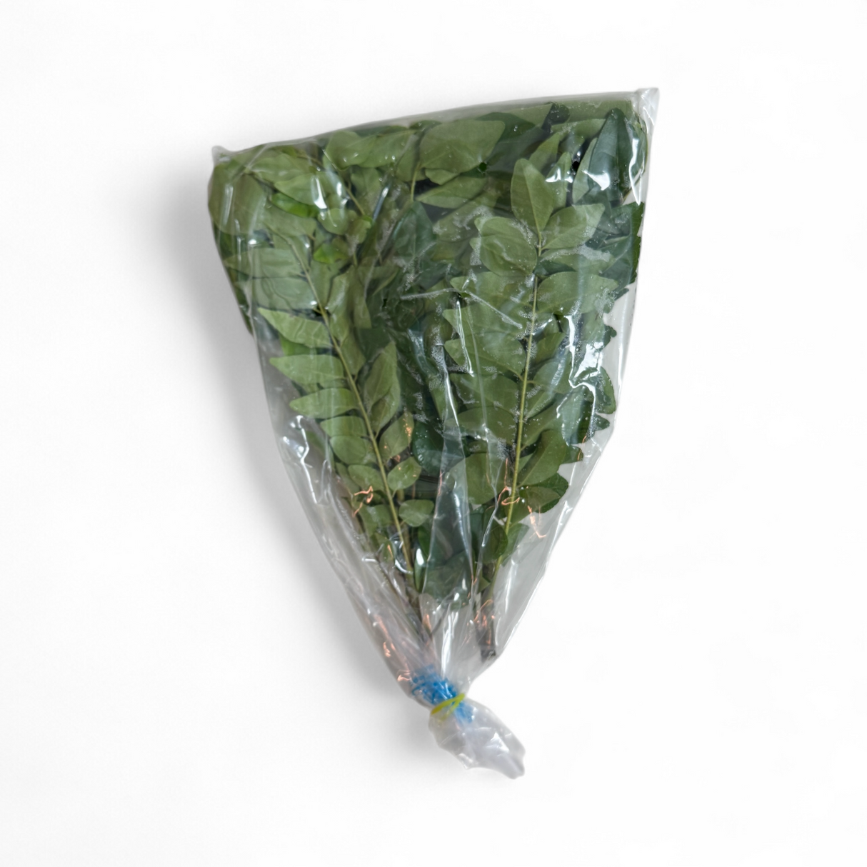 Curry Leaves Extra Large Pack