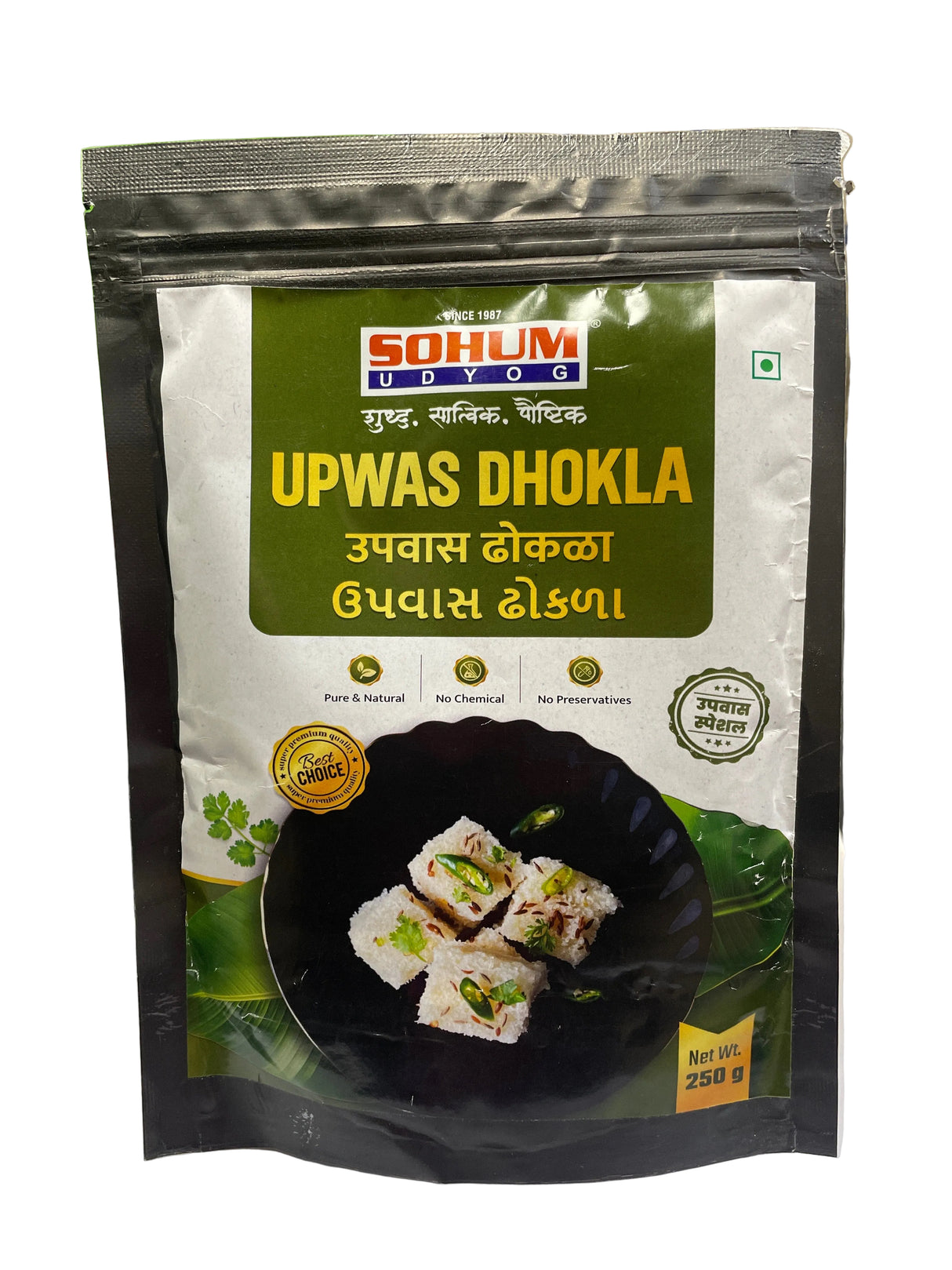 Sohum Upwas Dhokla
