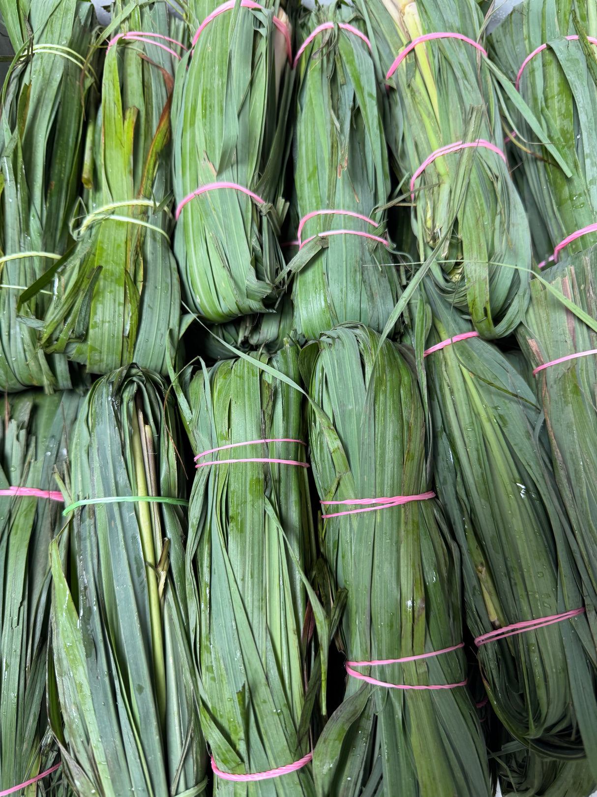 Green Tea Bunch