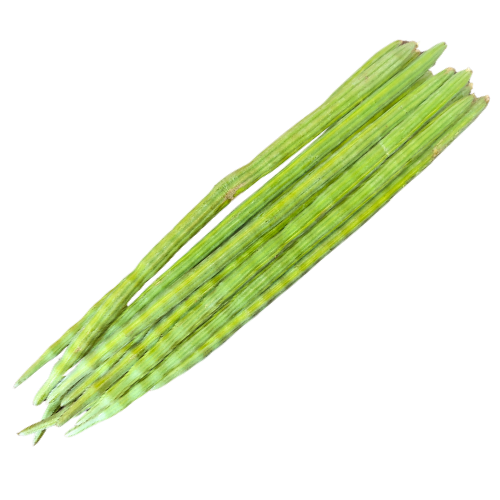 Drumstick | Saragva | Shevgyachya Shenga | Murungaikkai | Mulakada | Muringakayi | (Long & Fat)