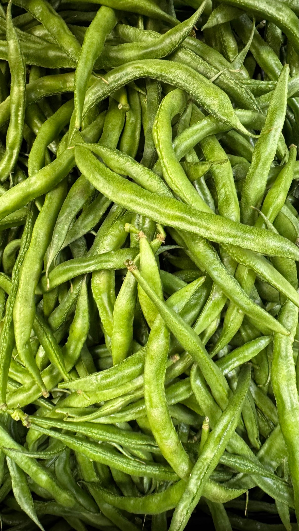 G Papdi (Ghevda Papdi)