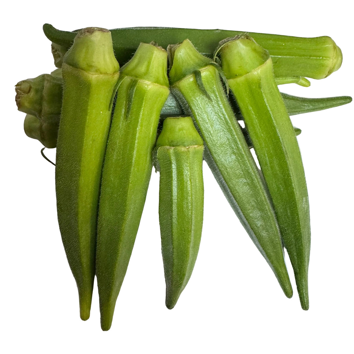 Okra