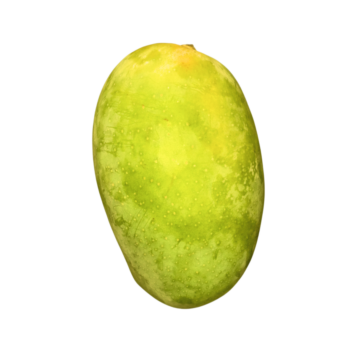 Kesar Mango 12pcs