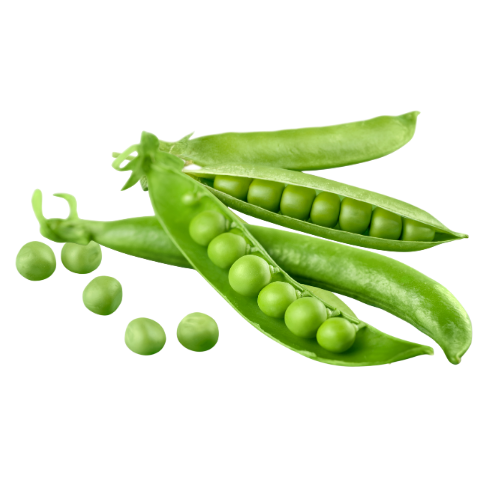 Fresh Green Peas