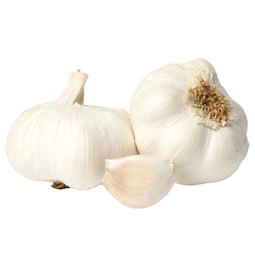 Garlic Large Pack