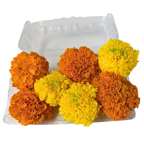 Marigold Flower (Yellow & Orange Mix)