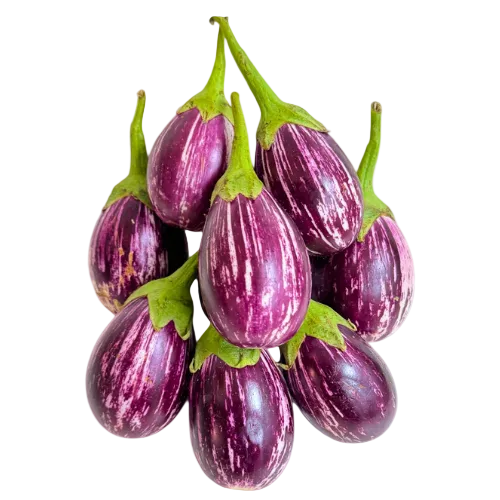 Stripy Pink Ravaiya | Baingan | Ringan | Vanga | Kathirikai | Vankaya | Vazhuthananga |