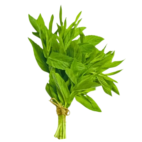 Mint Bunch
