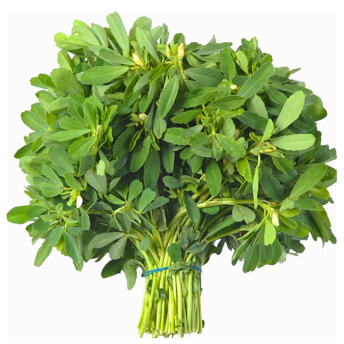 Methi Bunch