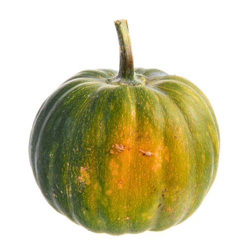 Green Pumpkin