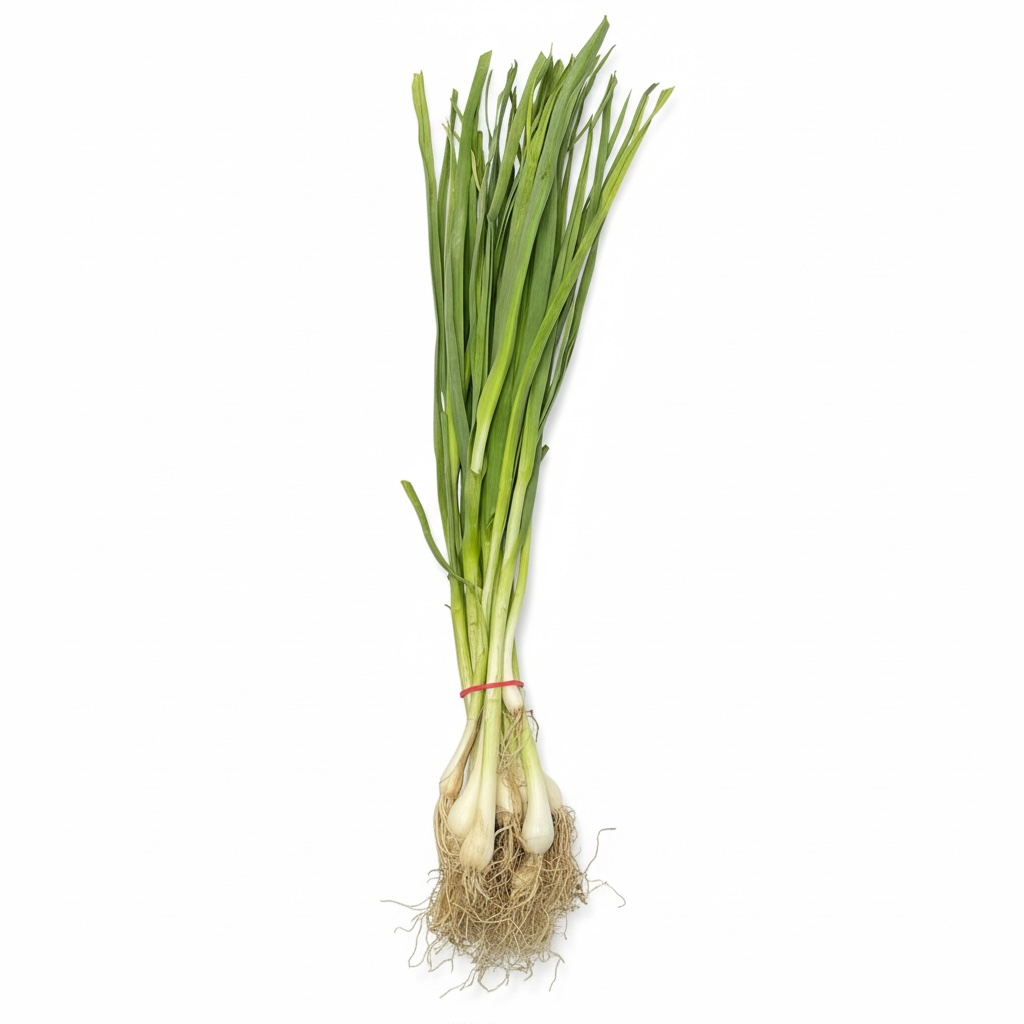 Fresh Green Garlic Bunch (Lilu Lasan)