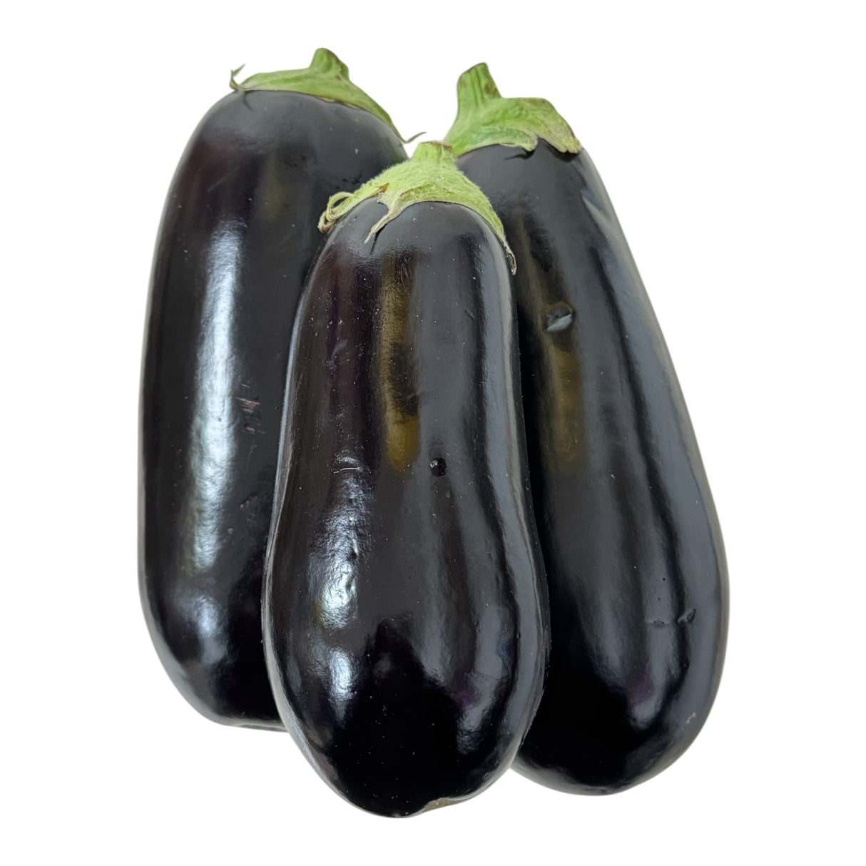 Aubergine | Baingan | Ringan | Vanga | Kathirikai | Vankaya | Vazhuthananga |