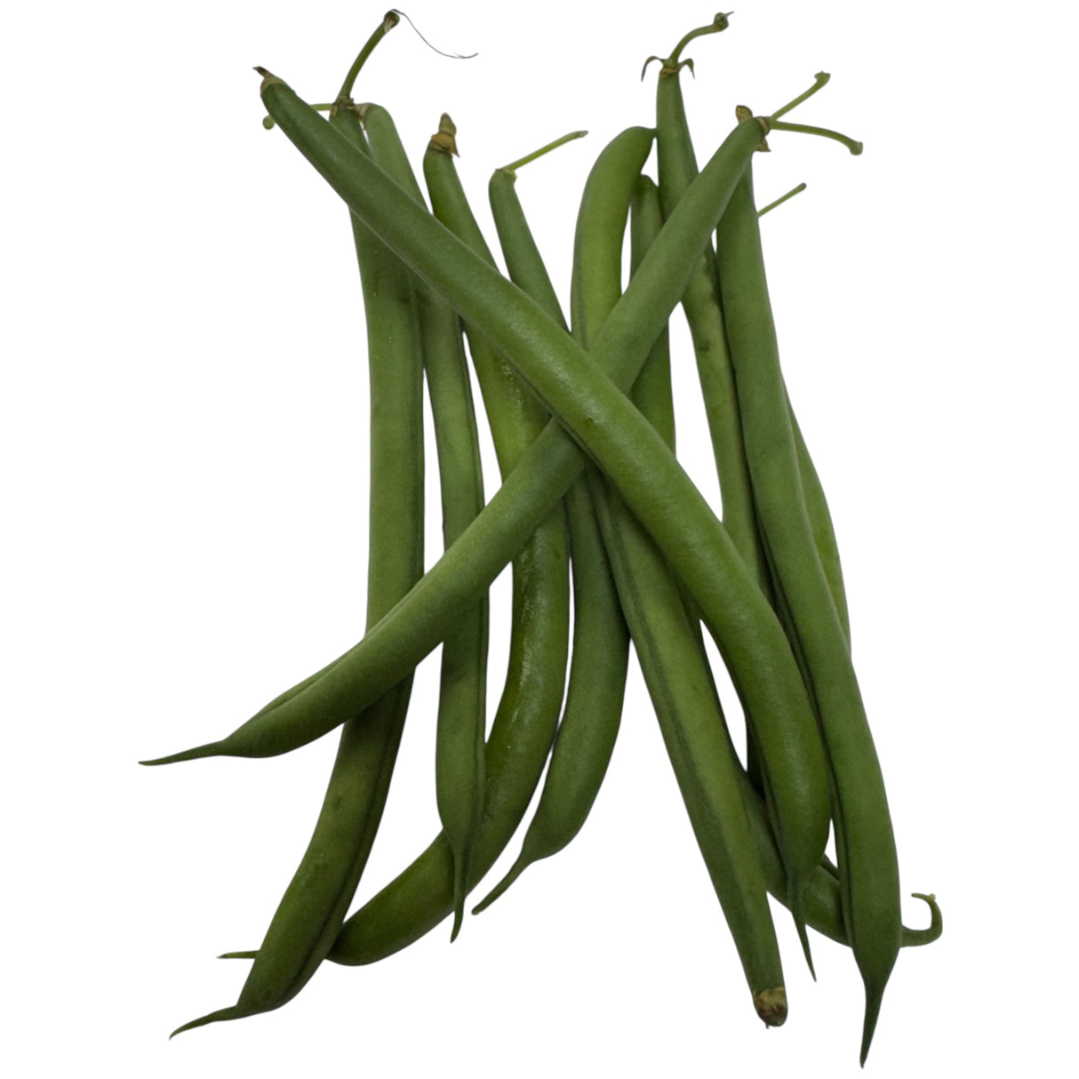 Fansi (Bobby Beans)