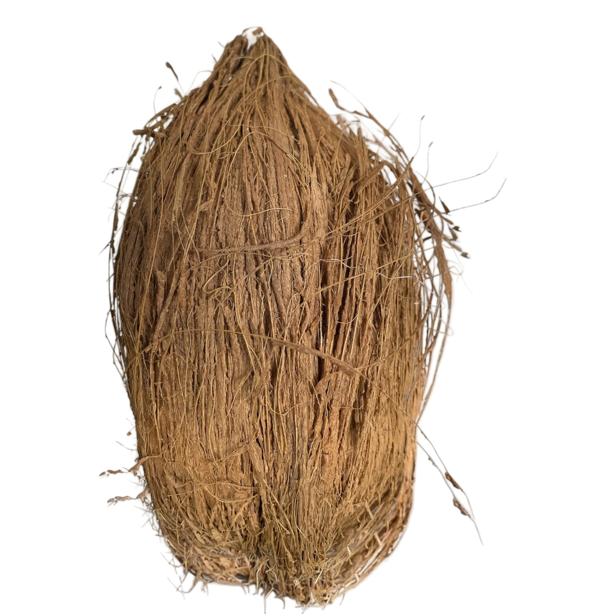 Whole Coconut With Husk (By Air) ✈️