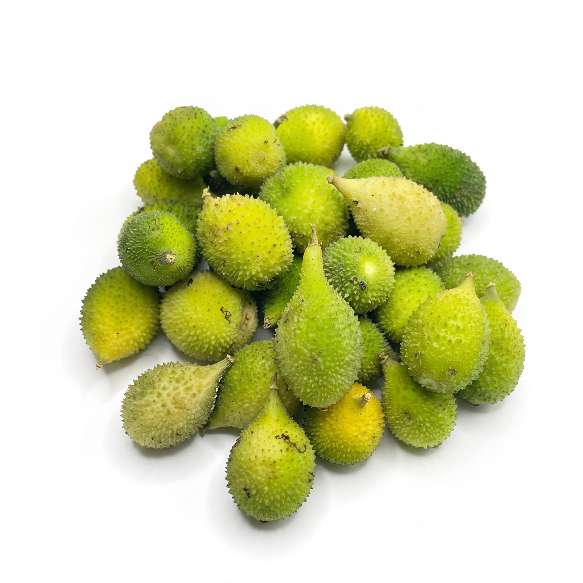 Kantola