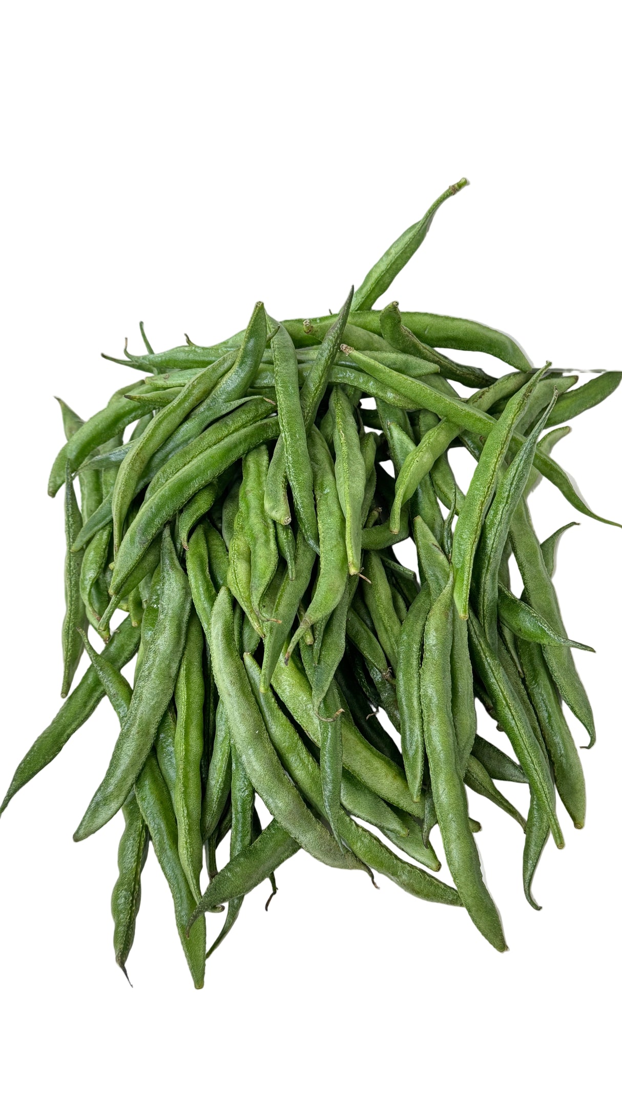 G Papdi (Ghevda Papdi)