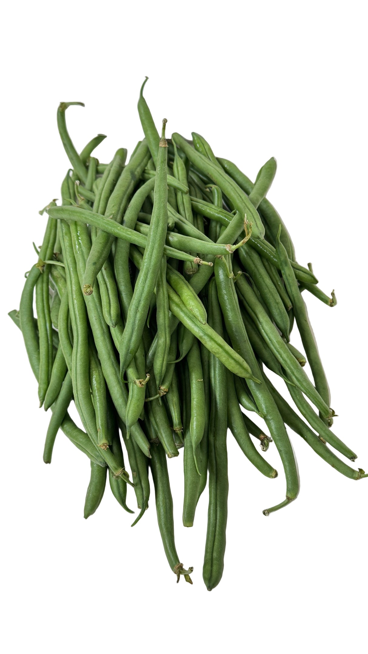 Fansi (Bobby Beans)
