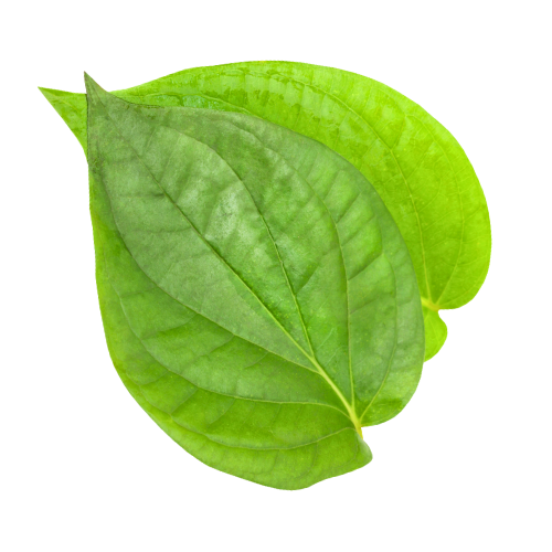 Nagarvale Paan