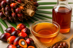 What Is Palm Oil And Its Health Benefits