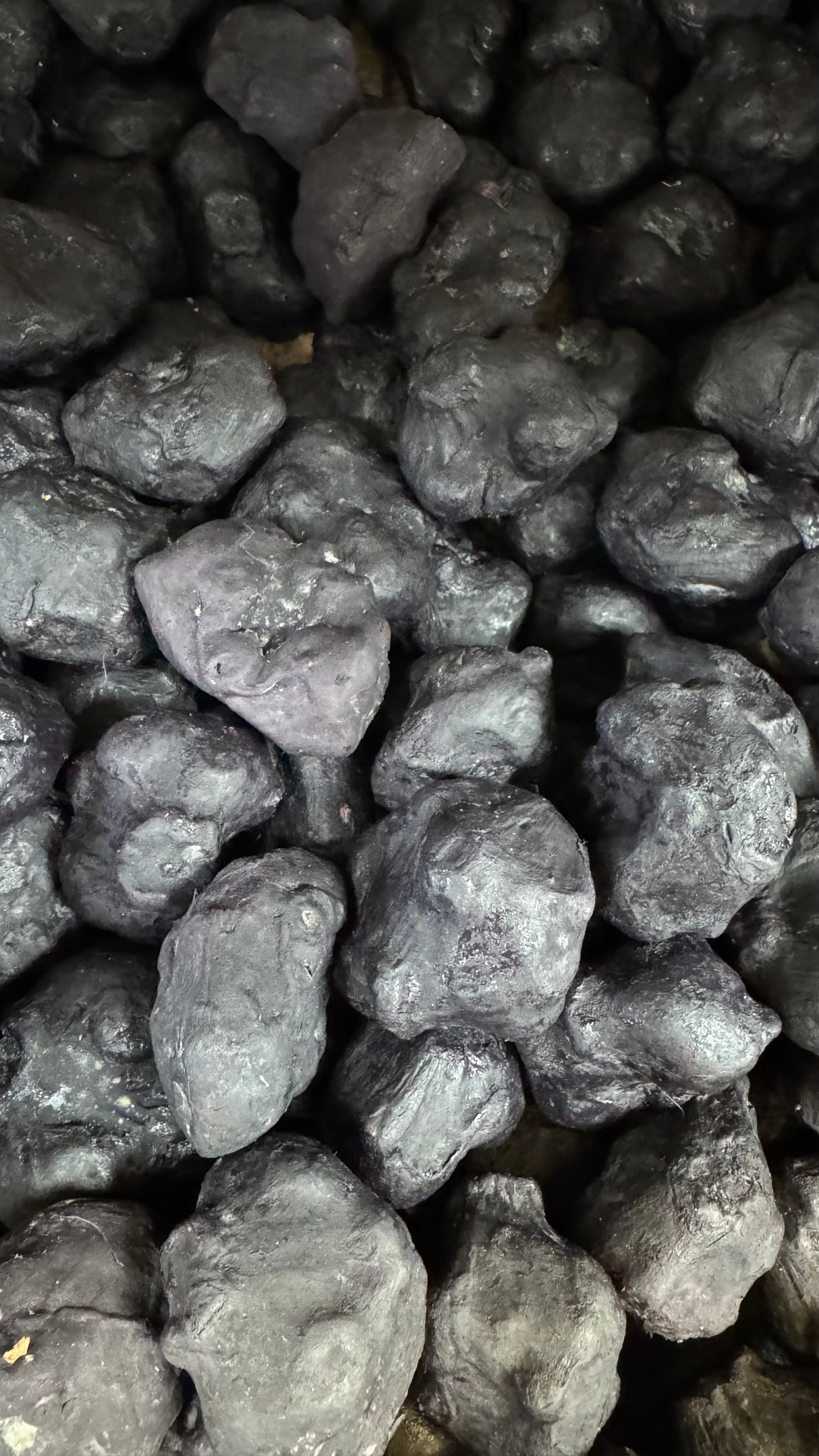 Singoda | Singhara | Water Chestnut |