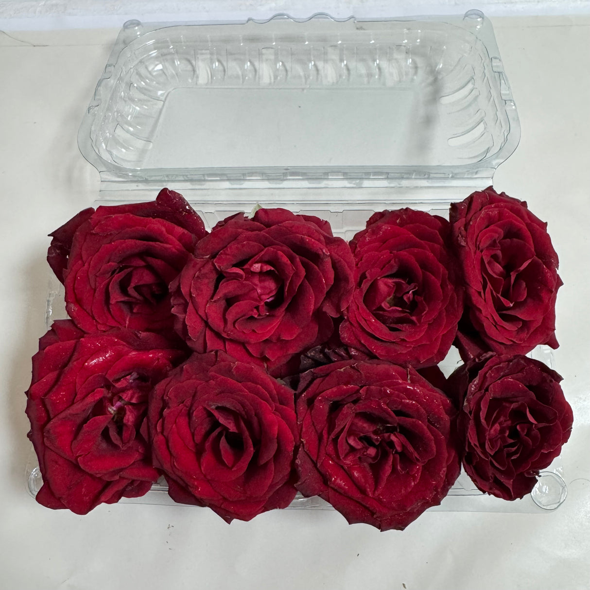 Fresh Desi Rose Flowers