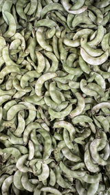 Surti Papdi
