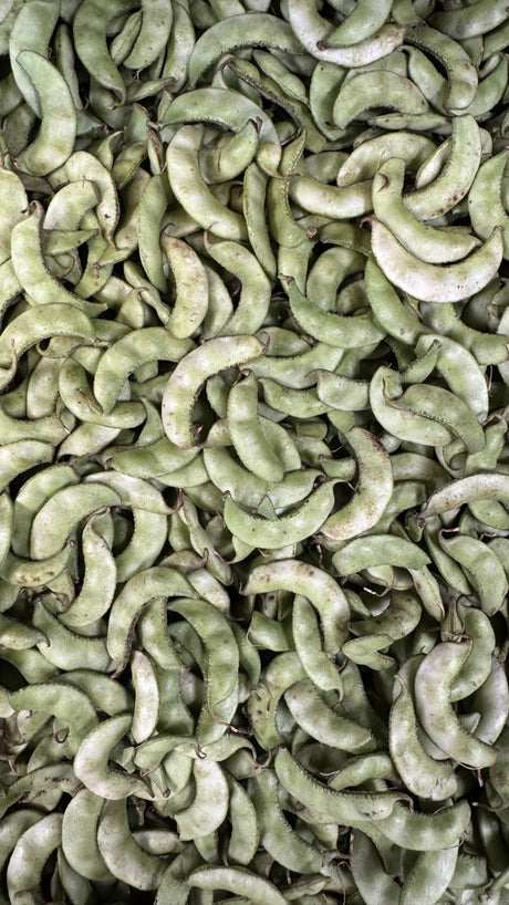 Surti Papdi