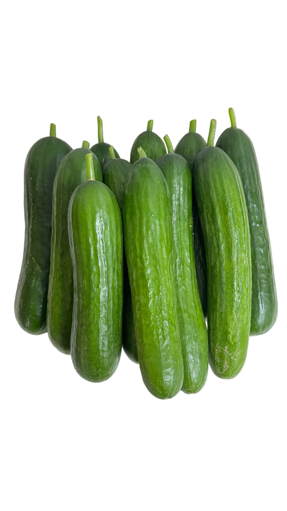 Baby Cucumber
