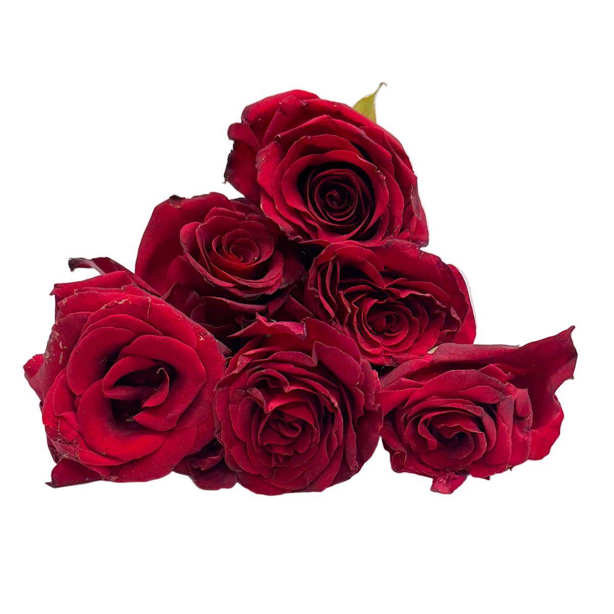 Rose | Gulab | Desi Fresh Flower