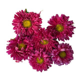 Purple | Saventi | Mallika | Fresh Flower