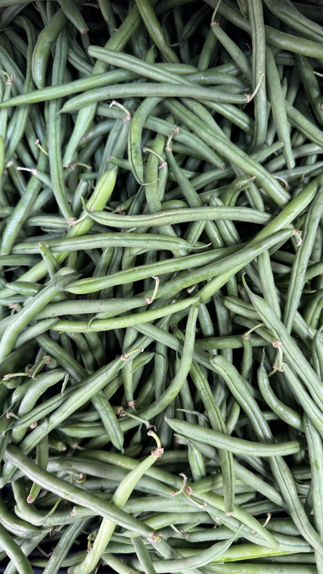Fansi (Bobby Beans)