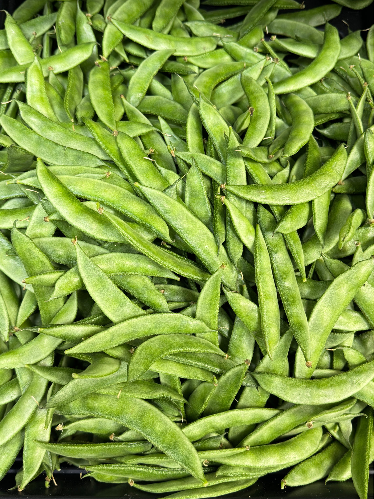 Valor Papdi