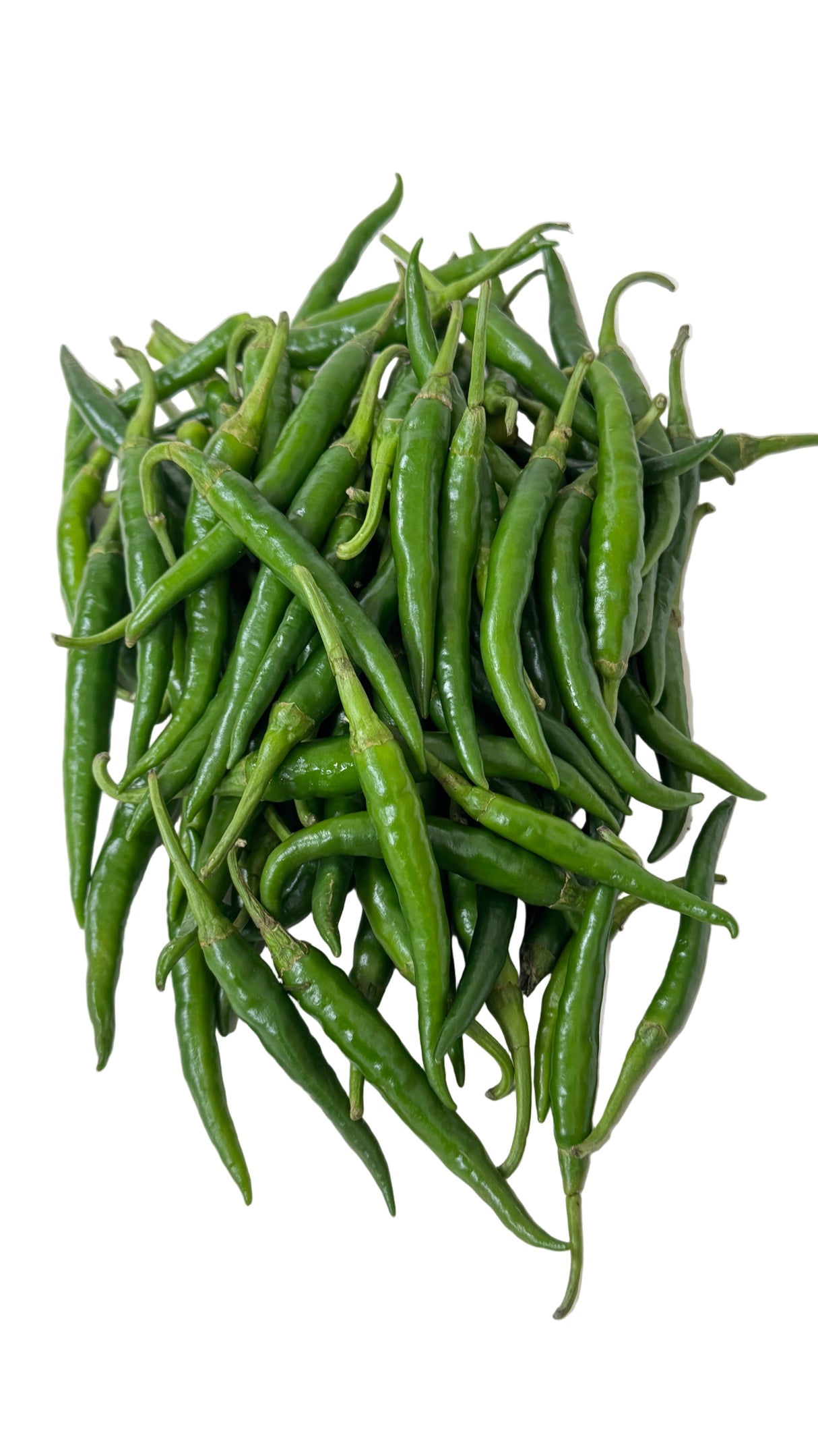 Chilli (Medium Hot)