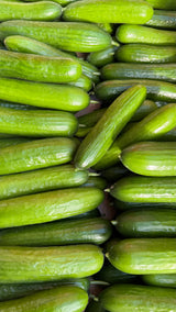 Baby Cucumber