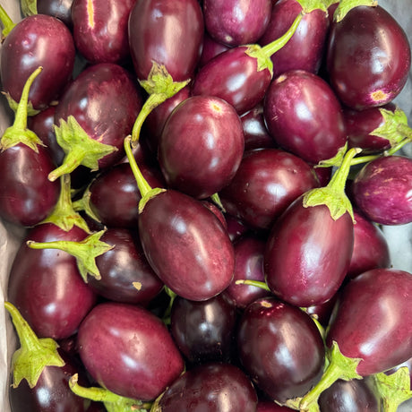 Pink Ravaiya| Baingan | Ringan | Vanga | Kathirikai | Vankaya | Vazhuthananga |