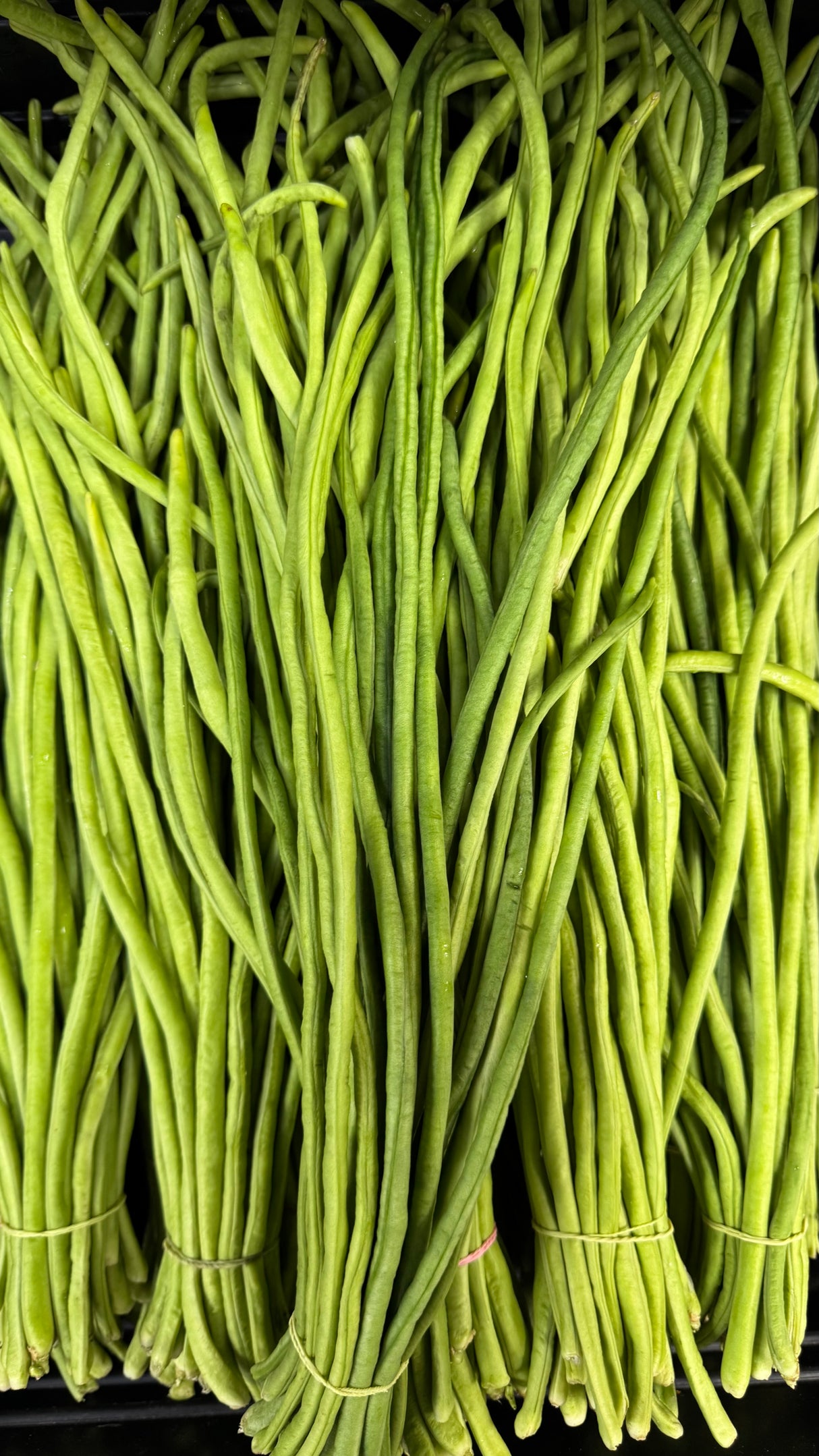 White Long Beans