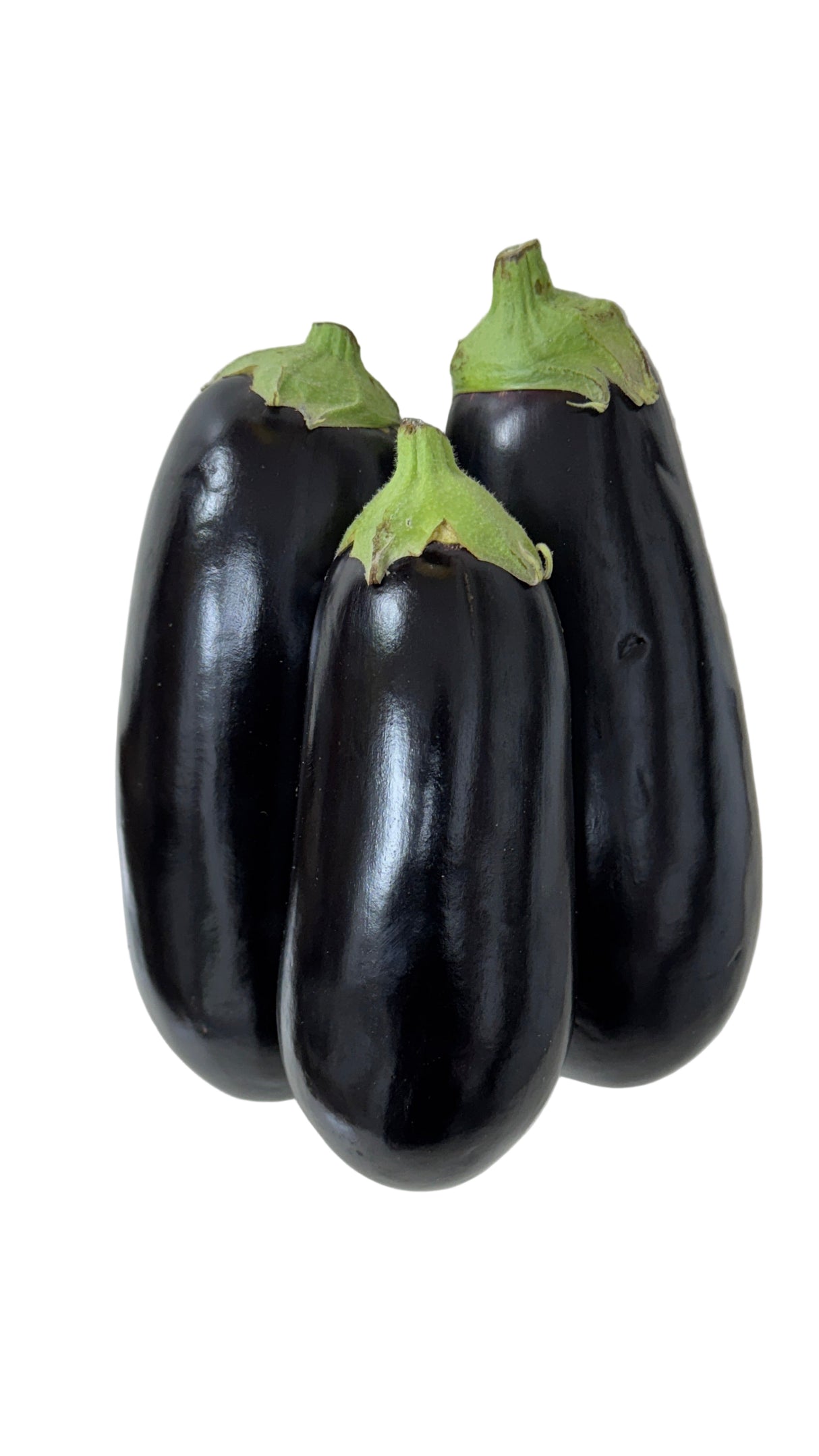 Aubergine