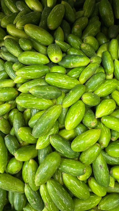 Tindora