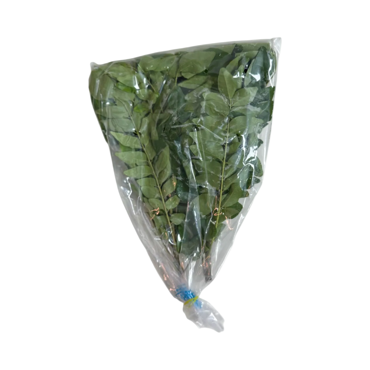 Curry Leaves | Mitho Limbo | Karivepaku | Kadhilimbachi Pana | Karuvepillai | Kariveppela |