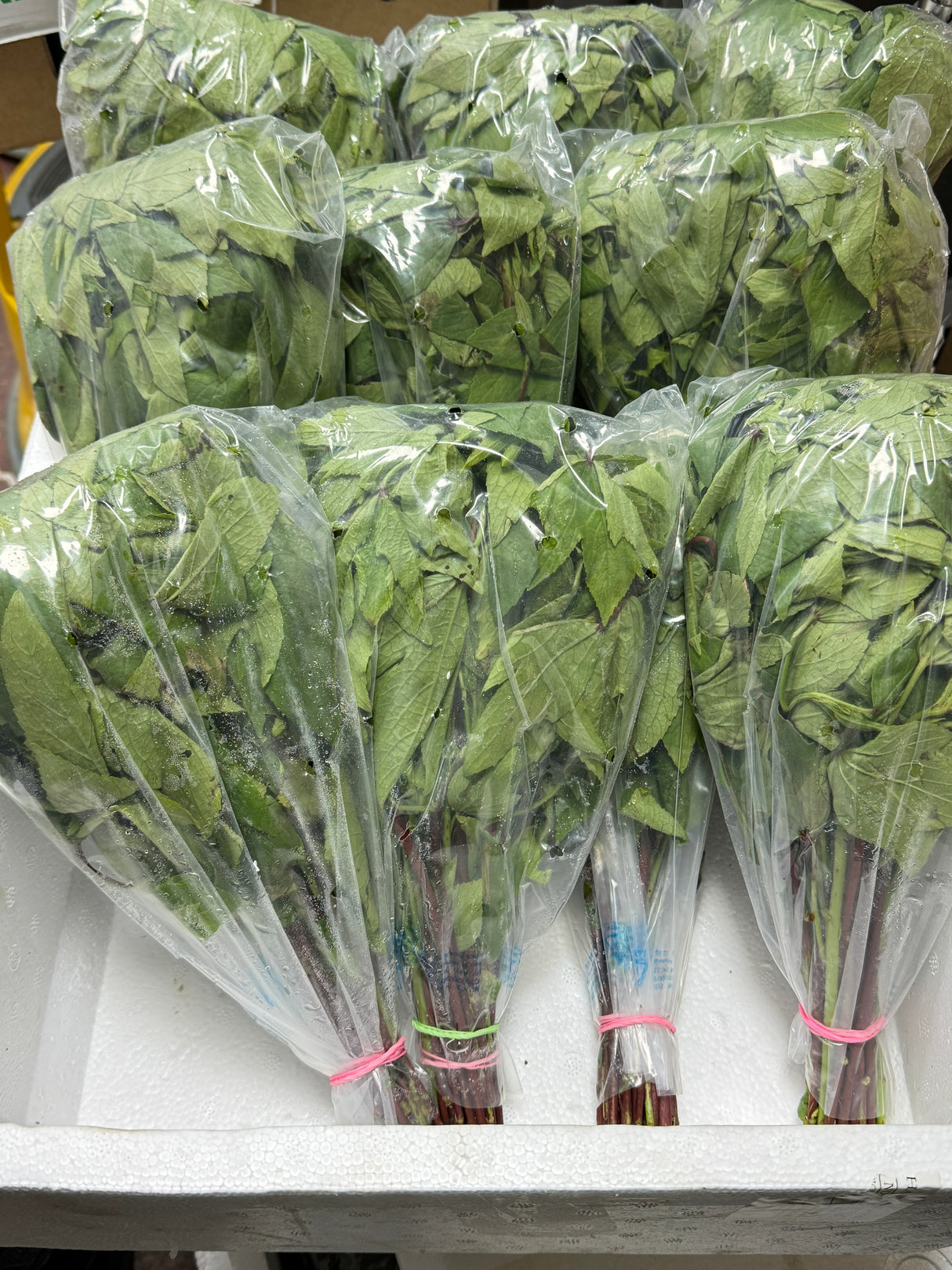 Ambadi (Gongura Leaves)