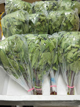 Ambadi (Gongura Leaves)