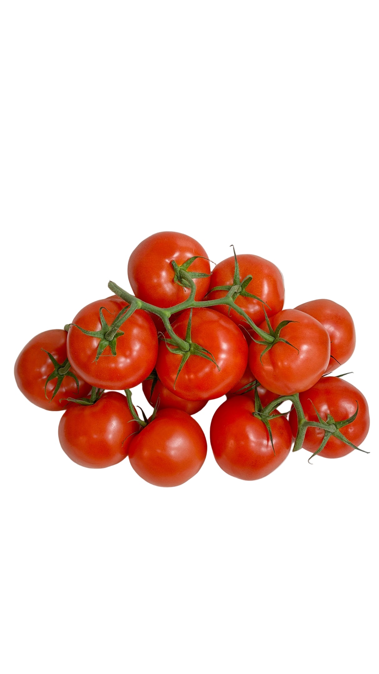 Vine Tomato