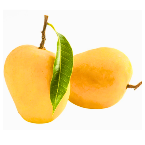 Royal Size Alphonso Mango 12pcs