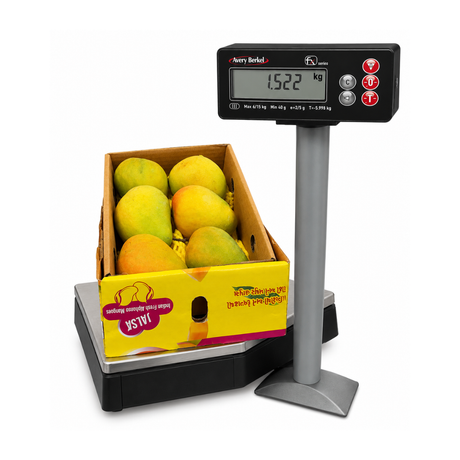 Alphonso Mango 6pcs